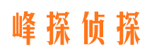 黄石侦探公司